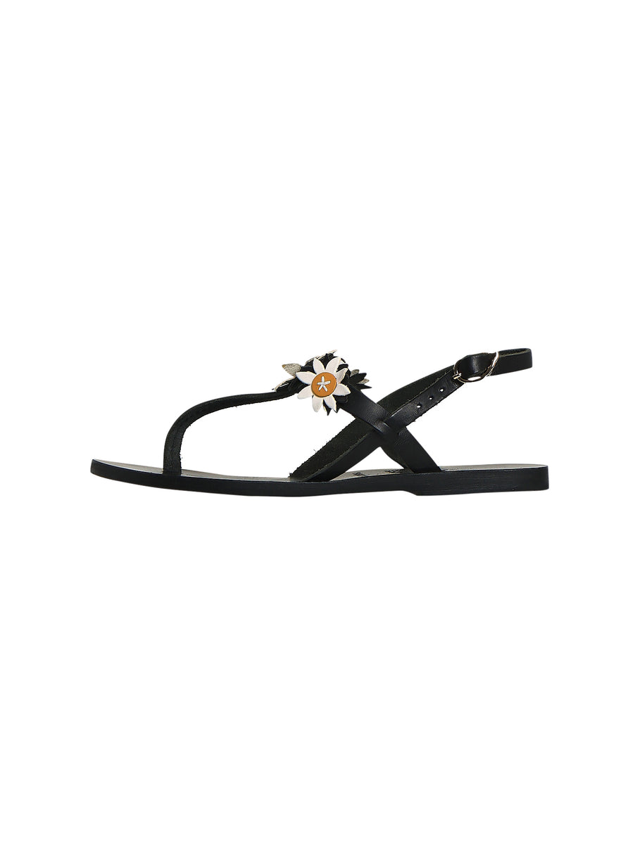 Ancient Greek Sandals Sheila Daisy Sandals The Turn