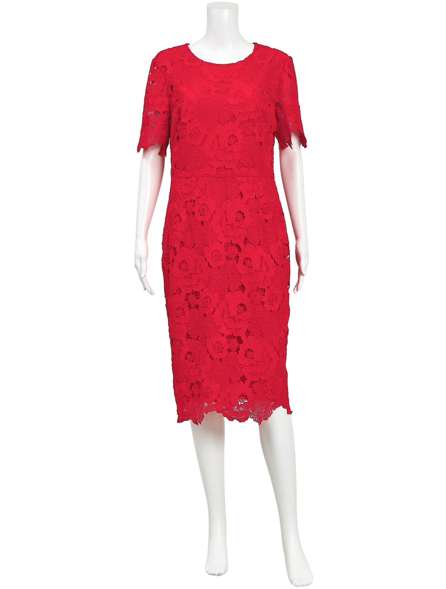 David Lawrence Romance Lace Dress The Turn